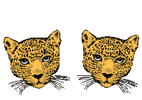 Useeva Sticker by EVA