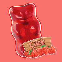 Altınayıcık GIF by HARIBOTR