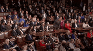 Day 2 GIF by GIPHY News
