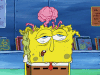 season 6 porous pockets GIF by SpongeBob SquarePants