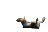 Sad On My Way Sticker by Peter Rabbit Movie