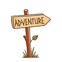 Summer Camping Sticker