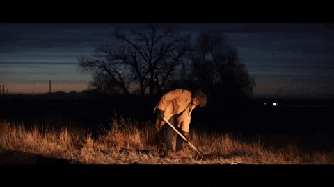 Dog Digging GIF by Valley Maker