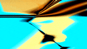 Video Art GIF by cskonopka