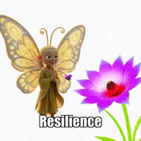 Wisdom Strength GIF by BuddhaFlyJourney