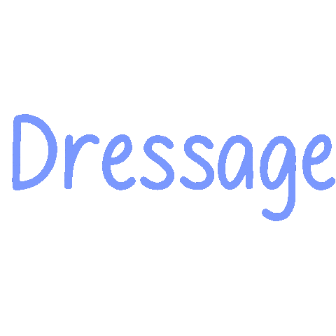 Horse Dressage Sticker