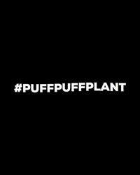Smoke Adventure GIF by Tree-Rolls Hemp Company