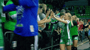 joy fans GIF by EHF