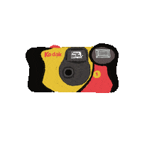 Photo Camera Sticker