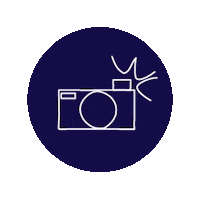 Photo Camera Sticker by Smartphoto