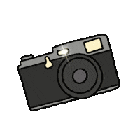 mii_lara photo camera flash foto Sticker