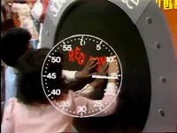 soul train bet GIF