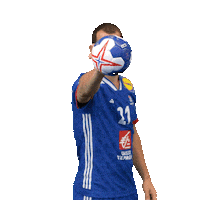 Ffhandball Sticker by Fédération Française de Handball