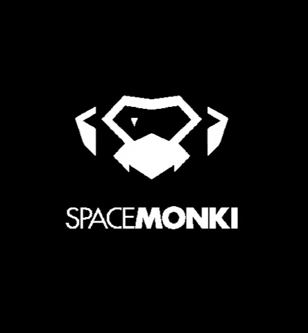 spacemonki techno spacemonki GIF