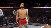 Sport Fighting GIF by UFC