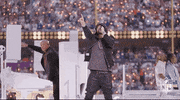 Super Bowl Football GIF by NFL