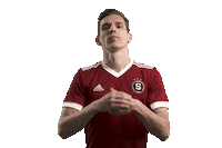 Hands Acsparta Sticker by AC Sparta Praha