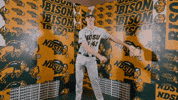 Baseball Bison GIF by NDSU Athletics
