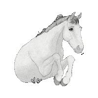 White Horse Sticker