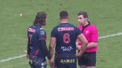 fc grenoble referee GIF by FCG Rugby