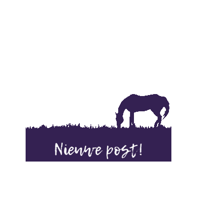 morethanriding new post nieuwe post morethanriding morethanridingnl Sticker