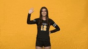 Sport College GIF by Cal State LA Golden Eagles