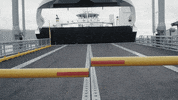 klypa accepted klypa kjell kjellen GIF