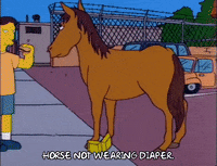 season 6 horse GIF