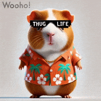 Live Music Fun GIF by Guinea Gambino