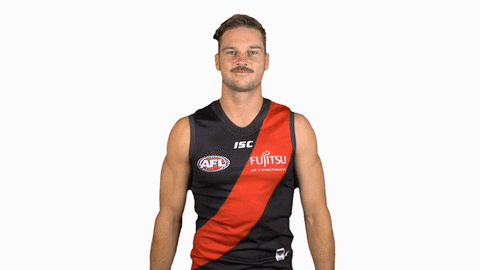 essendonfc giphyupload patrick dons bombers GIF