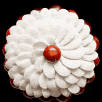 Patisserie Pastrychef GIF by Cedric Grolet