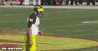 mlb GIF by SB Nation