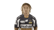 Super Rugby Sticker by BrumbiesRugby
