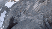 mountain climbing GIF by Studio Rogue