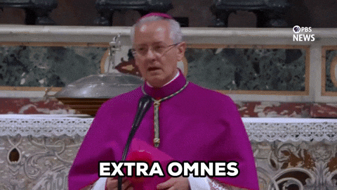Sistine Chapel Cardinals GIF by PBS News