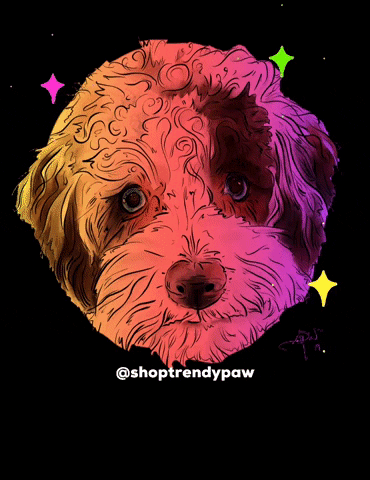 shoptrendypaw dog doodle indy petportrait GIF