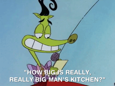 rockos modern life nicksplat GIF