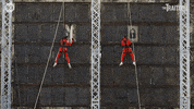 Challenge GIF by The Traitors Australia