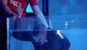 Antena 3 Television GIF by El Hormiguero