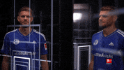 Schalke S04 GIF by Bundesliga