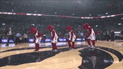 Regular Season Dancing GIF by NBA
