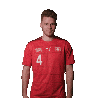 Nico Elvedi Goal Sticker by Swiss Football Association