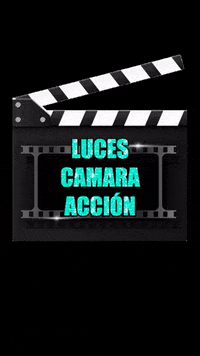 catsal62 light action camera GIF