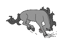 Horse Rodeo Sticker by Ponyfarben