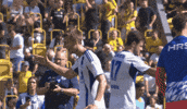 Happy Football GIF by FC Schalke 04