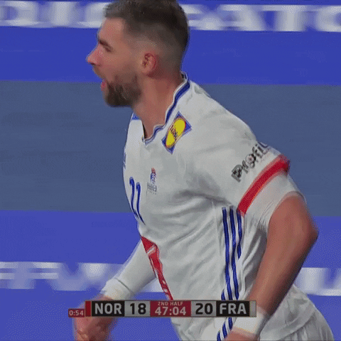 Ffhandball GIF by Fédération Française de Handball
