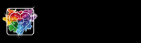 netwintecwebagency agency web creativity webagency GIF
