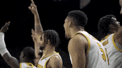 Basketball Bench GIF by Milwaukee Panthers