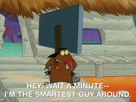 nickrewind nicksplat angry beavers GIF