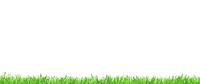 Lawn Mower Sticker by Masport NZ